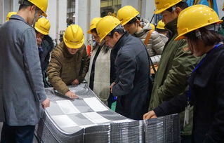 技術(shù)賦能產(chǎn)業(yè)升級(jí) 中石化上海工程醫(yī)藥食品專(zhuān)家團(tuán)蒞臨艾克森工廠開(kāi)展技術(shù)咨詢交流